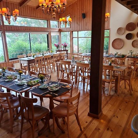 Hotel Elun, La Mejor Vista Frutillar Eksteriør billede