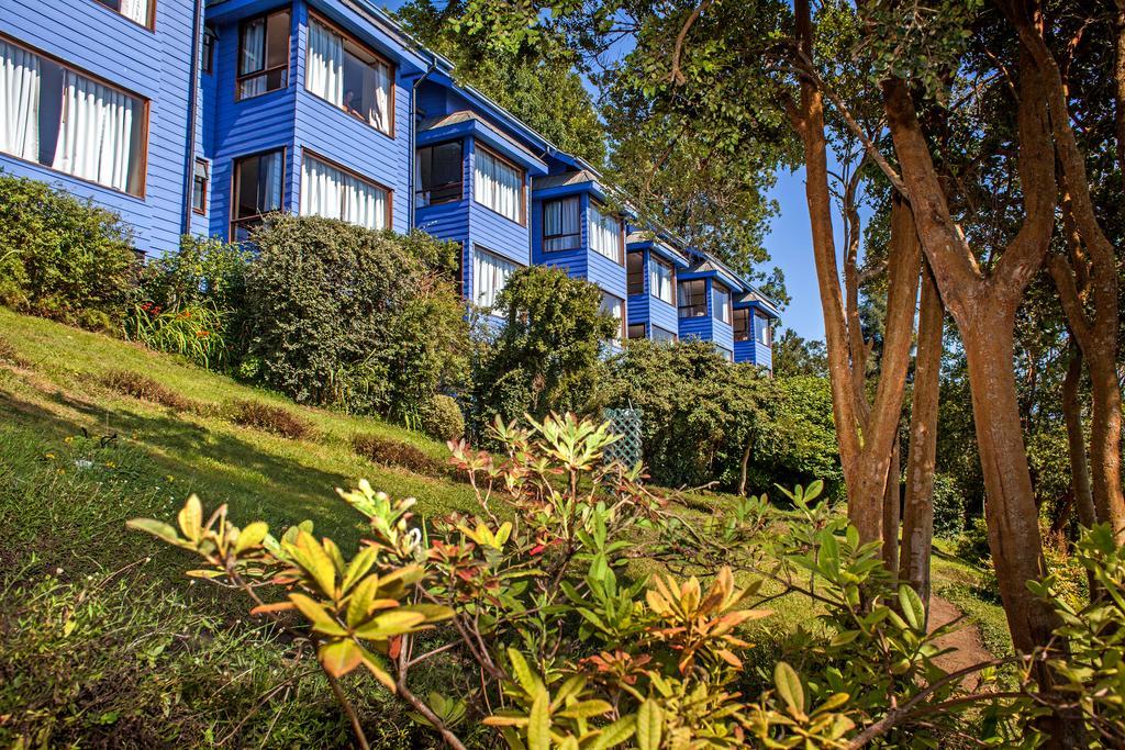 Hotel Elun, La Mejor Vista Frutillar Eksteriør billede